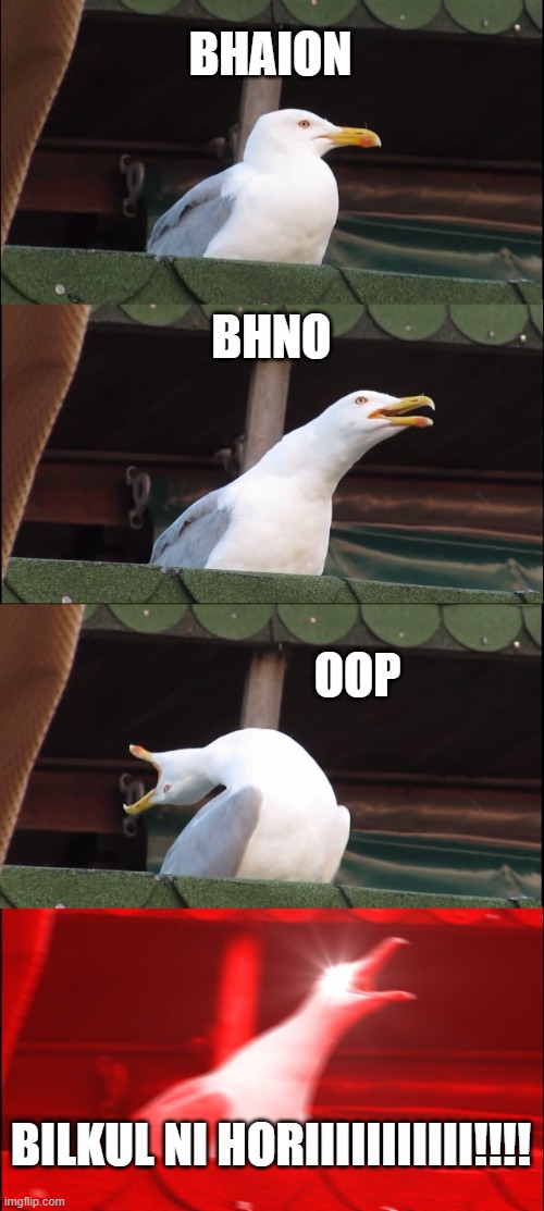 student coding OOP | BHAION; BHNO; OOP; BILKUL NI HORIIIIIIIIIII!!!! | image tagged in memes,inhaling seagull | made w/ Imgflip meme maker