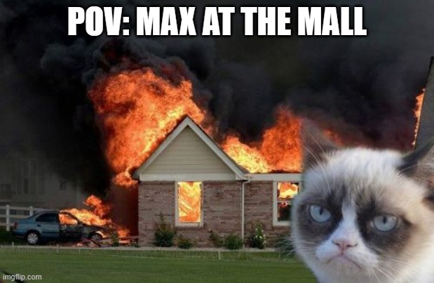 *Gasoline throw* | POV: MAX AT THE MALL | image tagged in memes,burn kitty,grumpy cat | made w/ Imgflip meme maker