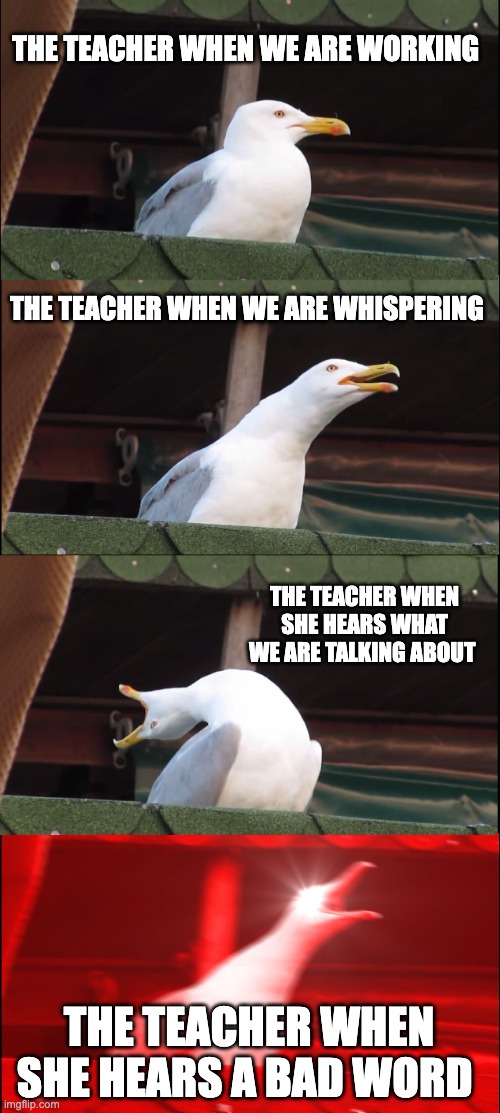 Inhaling Seagull | THE TEACHER WHEN WE ARE WORKING; THE TEACHER WHEN WE ARE WHISPERING; THE TEACHER WHEN SHE HEARS WHAT WE ARE TALKING ABOUT; THE TEACHER WHEN SHE HEARS A BAD WORD | image tagged in memes,inhaling seagull,too funny | made w/ Imgflip meme maker