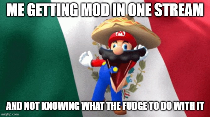 AGADKGJHSKLJHGjkshglkj | ME GETTING MOD IN ONE STREAM; AND NOT KNOWING WHAT THE FUDGE TO DO WITH IT | image tagged in mexican mario dancing | made w/ Imgflip meme maker