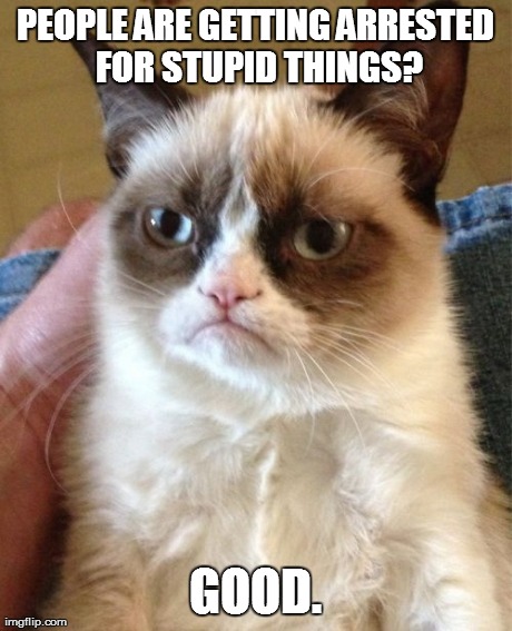 PEOPLE ARE GETTING ARRESTED FOR STUPID THINGS? GOOD. | image tagged in memes,grumpy cat | made w/ Imgflip meme maker