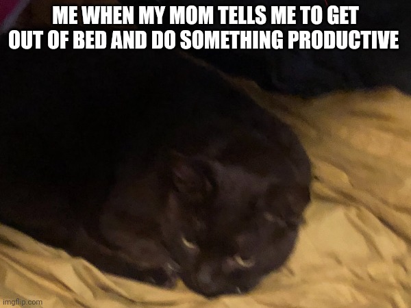 ME WHEN MY MOM TELLS ME TO GET OUT OF BED AND DO SOMETHING PRODUCTIVE | made w/ Imgflip meme maker