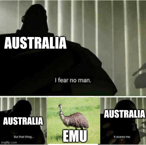 The Australians lost a war against emus, in case you didn't know | AUSTRALIA; AUSTRALIA; AUSTRALIA; EMU | image tagged in i fear no man,memes,funny,fun,emus,australia | made w/ Imgflip meme maker