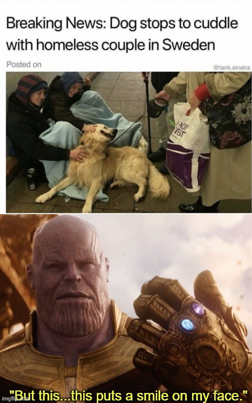 Thank goodness for dogs. | "But this...this puts a smile on my face." | image tagged in thanos smile | made w/ Imgflip meme maker
