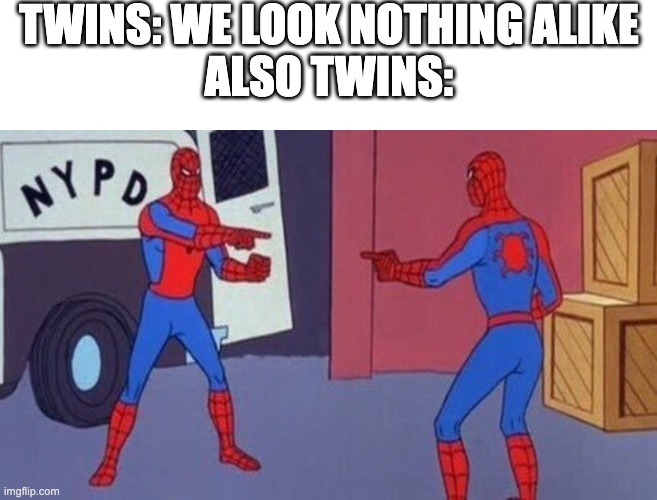 twins. and dont get me started on triplets | TWINS: WE LOOK NOTHING ALIKE
ALSO TWINS: | image tagged in spiderman pointing at spiderman | made w/ Imgflip meme maker