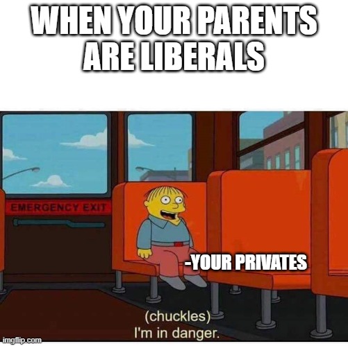 I'm in danger | WHEN YOUR PARENTS
ARE LIBERALS; -YOUR PRIVATES | image tagged in i'm in danger | made w/ Imgflip meme maker