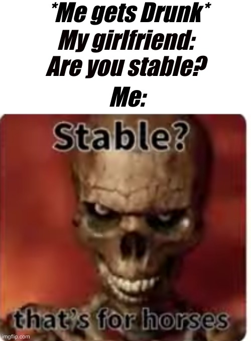 *Me gets Drunk*; My girlfriend: Are you stable? Me: | image tagged in stable thats for horses | made w/ Imgflip meme maker