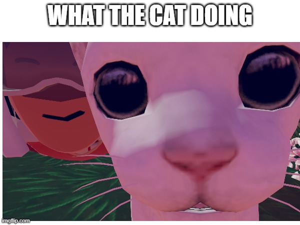 WHAT THE CAT DOING | image tagged in cats | made w/ Imgflip meme maker