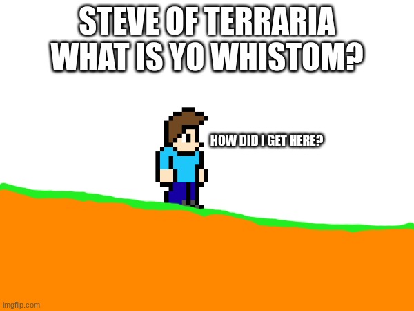 STEVE OF TERRARIA WHAT IS YO WHISTOM? HOW DID I GET HERE? | made w/ Imgflip meme maker