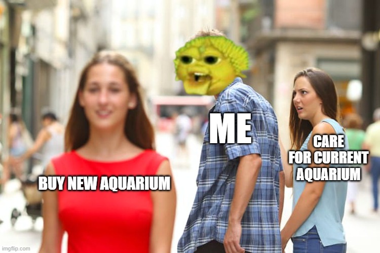 new tank syndrome | ME; CARE FOR CURRENT AQUARIUM; BUY NEW AQUARIUM | image tagged in memes,distracted boyfriend | made w/ Imgflip meme maker