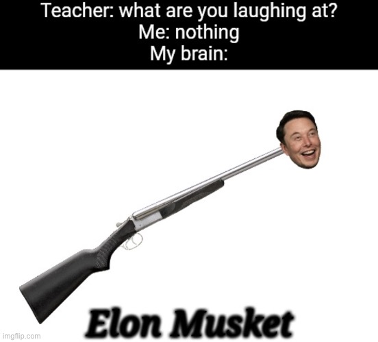 Elon musket | image tagged in elon musket | made w/ Imgflip meme maker