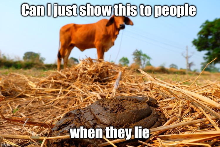 Bull shit | Can I just show this to people; when they lie | image tagged in bullshit,funny memes,memes | made w/ Imgflip meme maker