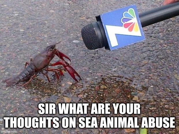 Crawfish Interview | SIR WHAT ARE YOUR THOUGHTS ON SEA ANIMAL ABUSE | image tagged in crawfish interview | made w/ Imgflip meme maker