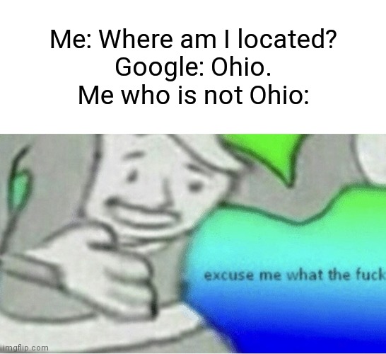 Google must have stupid | Me: Where am I located?
Google: Ohio.
Me who is not Ohio: | image tagged in excuse me wtf blank template,memes,do you are have stupid,but why why would you do that | made w/ Imgflip meme maker