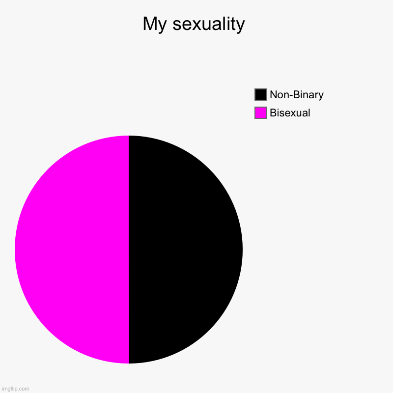 My sexuality | Bisexual, Non-Binary | image tagged in charts,pie charts | made w/ Imgflip chart maker