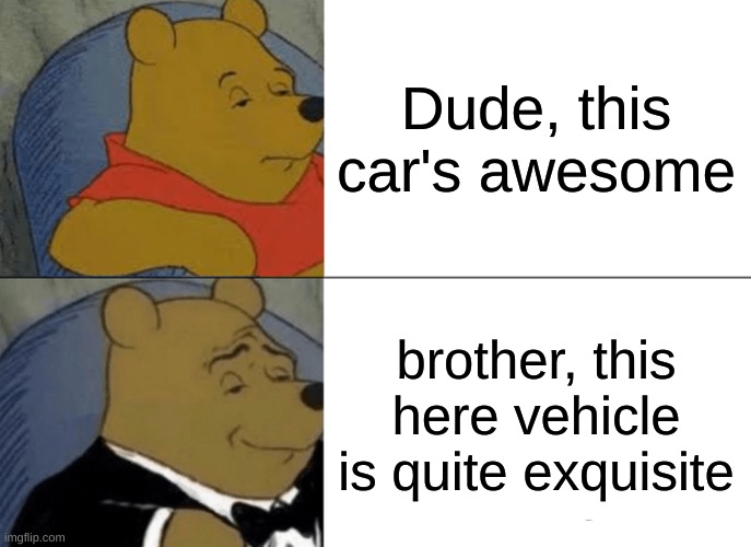 Tuxedo Winnie The Pooh Meme | Dude, this car's awesome; brother, this here vehicle is quite exquisite | image tagged in memes,tuxedo winnie the pooh | made w/ Imgflip meme maker