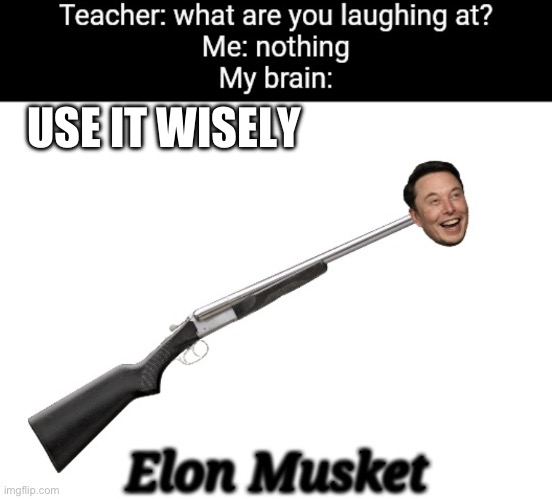 Elon musket | USE IT WISELY | image tagged in elon musket | made w/ Imgflip meme maker