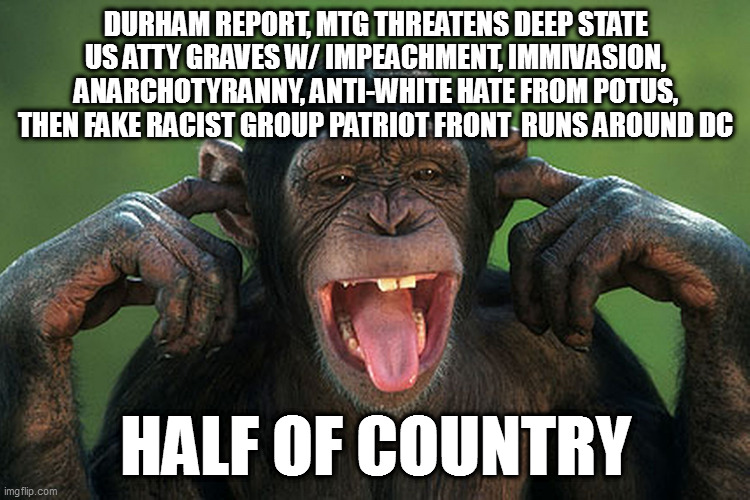 I can't hear you | DURHAM REPORT, MTG THREATENS DEEP STATE US ATTY GRAVES W/ IMPEACHMENT, IMMIVASION, ANARCHOTYRANNY, ANTI-WHITE HATE FROM POTUS, THEN FAKE RACIST GROUP PATRIOT FRONT  RUNS AROUND DC; HALF OF COUNTRY | image tagged in i can't hear you | made w/ Imgflip meme maker