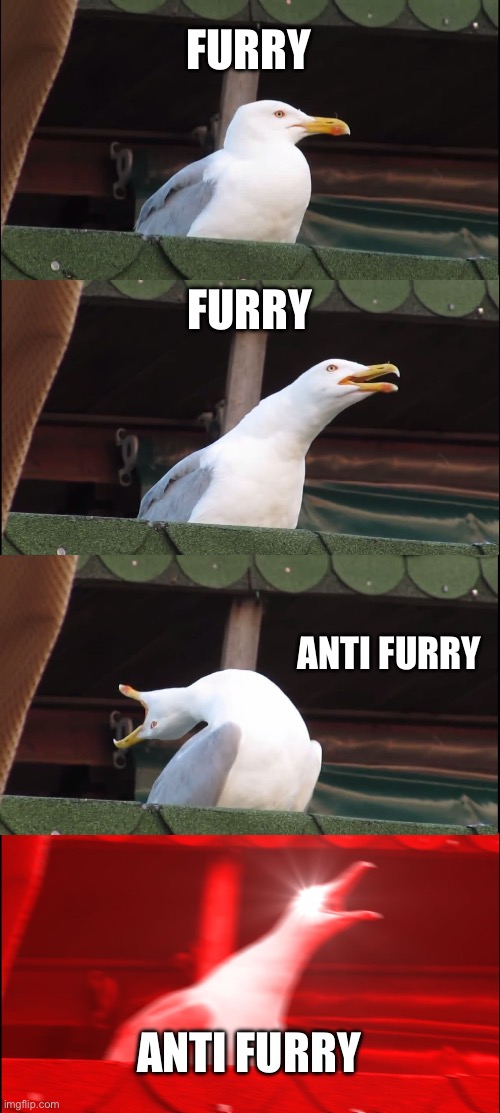 Inhaling Seagull Meme | FURRY; FURRY; ANTI FURRY; ANTI FURRY | image tagged in memes,inhaling seagull | made w/ Imgflip meme maker