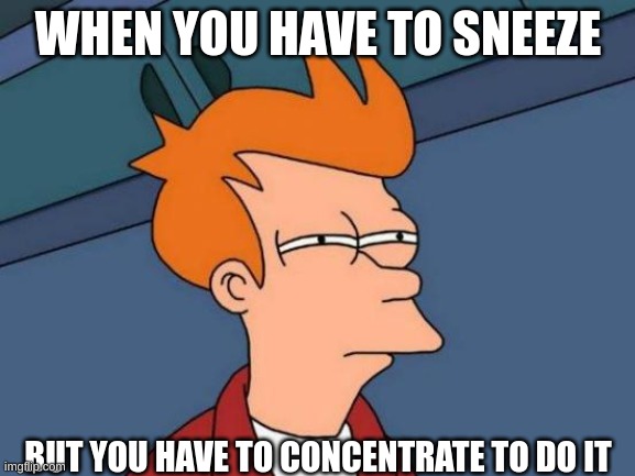 Futurama Fry | WHEN YOU HAVE TO SNEEZE; BUT YOU HAVE TO CONCENTRATE TO DO IT | image tagged in memes,futurama fry,sneeze | made w/ Imgflip meme maker