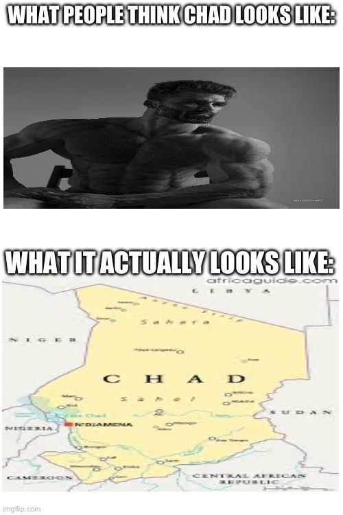 Haha | WHAT PEOPLE THINK CHAD LOOKS LIKE:; WHAT IT ACTUALLY LOOKS LIKE: | image tagged in well yes but actually no | made w/ Imgflip meme maker