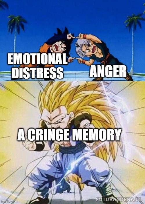 fuu... sion! HA! | ANGER; EMOTIONAL DISTRESS; A CRINGE MEMORY | image tagged in dbz fusion | made w/ Imgflip meme maker