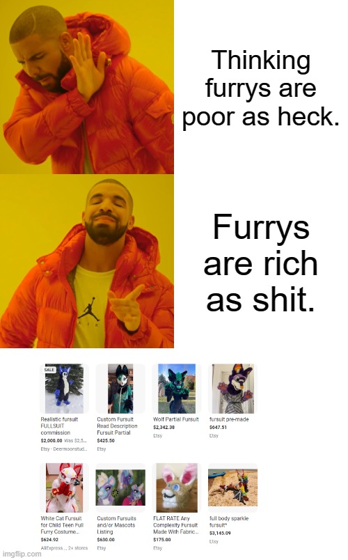 Dummies | Thinking furrys are poor as heck. Furrys are rich as shit. | image tagged in memes,drake hotline bling,furry,for dummies,hahaha | made w/ Imgflip meme maker