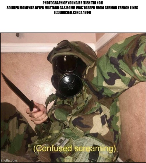 confused screaming but with gas mask | PHOTOGRAPH OF YOUNG BRITISH TRENCH SOLDIER MOMENTS AFTER MUSTARD GAS BOMB WAS TOSSED FROM GERMAN TRENCH LINES 
(COLORISED, CIRCA 1914) | image tagged in confused screaming but with gas mask,ww1 | made w/ Imgflip meme maker