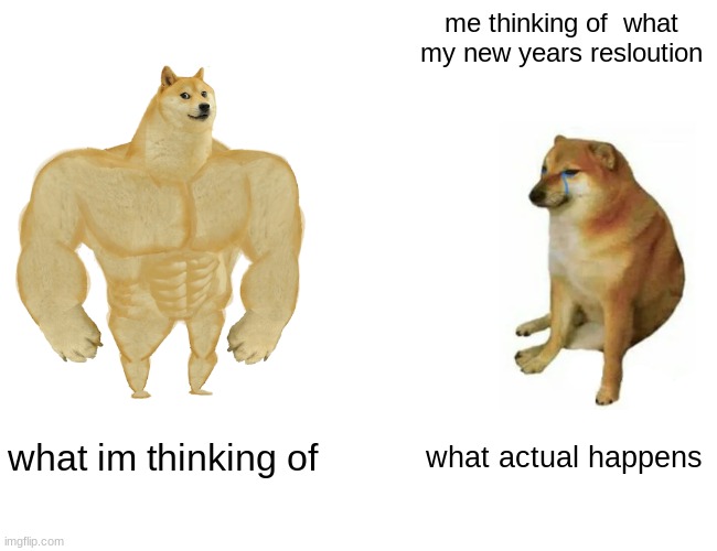 new years | me thinking of  what my new years resloution; what im thinking of; what actual happens | image tagged in memes,buff doge vs cheems | made w/ Imgflip meme maker