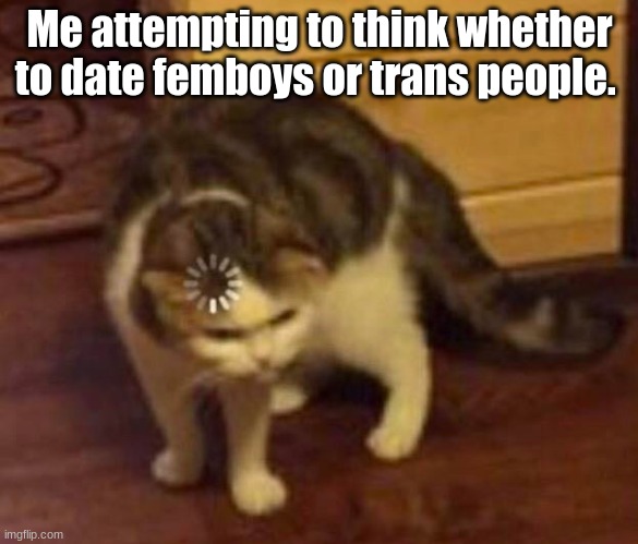 "You like kissing boys don't you." | Me attempting to think whether to date femboys or trans people. | image tagged in thinking cat | made w/ Imgflip meme maker