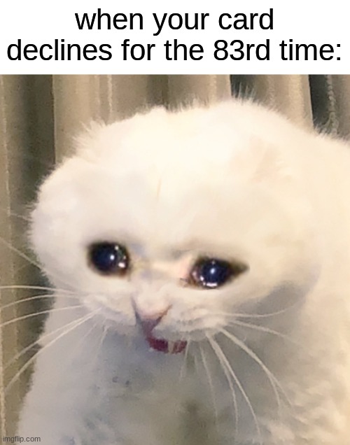 GIVE ME MY BBQ LAYS >:( | when your card declines for the 83rd time: | image tagged in screaming crying cat,why,pain,funny,relateable | made w/ Imgflip meme maker