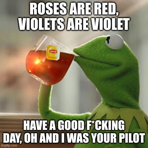 But That's None Of My Business | ROSES ARE RED, VIOLETS ARE VIOLET; HAVE A GOOD F*CKING DAY, OH AND I WAS YOUR PILOT | image tagged in memes,but that's none of my business,kermit the frog | made w/ Imgflip meme maker