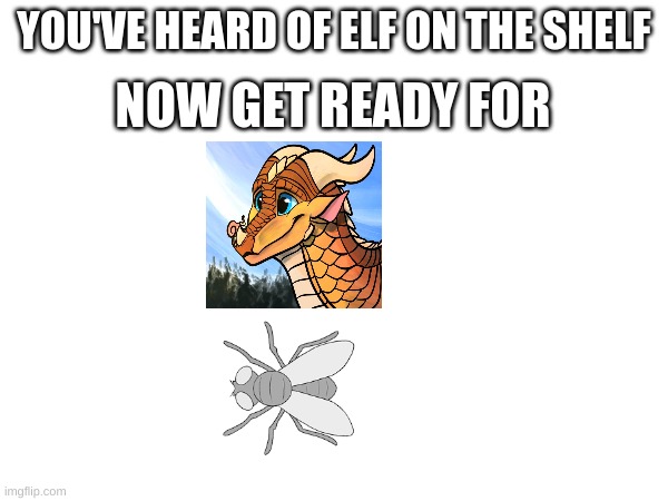 sky on the fly | YOU'VE HEARD OF ELF ON THE SHELF; NOW GET READY FOR | image tagged in wof | made w/ Imgflip meme maker