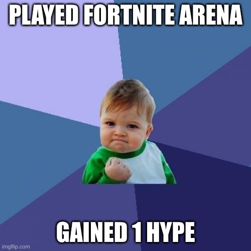 Success Kid Meme | PLAYED FORTNITE ARENA; GAINED 1 HYPE | image tagged in memes,success kid | made w/ Imgflip meme maker
