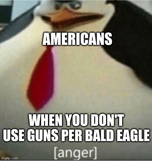 [anger] | AMERICANS; WHEN YOU DON'T USE GUNS PER BALD EAGLE | image tagged in anger,relatable,america | made w/ Imgflip meme maker