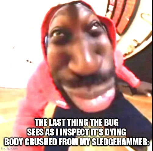 *screams in agony* | THE LAST THING THE BUG SEES AS I INSPECT IT'S DYING BODY CRUSHED FROM MY SLEDGEHAMMER: | image tagged in goofy ahh | made w/ Imgflip meme maker