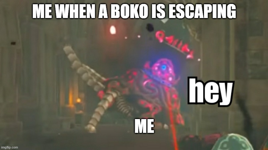 when a boko tries to escape | ME WHEN A BOKO IS ESCAPING; ME | image tagged in guardian hey | made w/ Imgflip meme maker