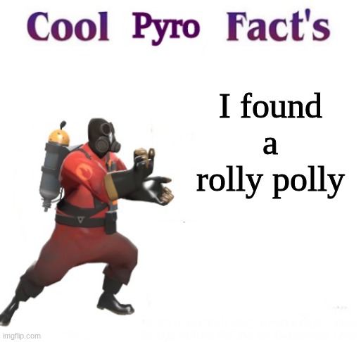 cooler pyro facts | I found a rolly polly | image tagged in cooler pyro facts | made w/ Imgflip meme maker