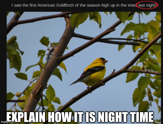 WHAT | EXPLAIN HOW IT IS NIGHT TIME | image tagged in iceu,questionable | made w/ Imgflip meme maker