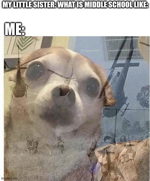 I'm in Jr high now. but boy did I hate middle school | MY LITTLE SISTER: WHAT IS MIDDLE SCHOOL LIKE:; ME: | image tagged in ptsd chihuahua | made w/ Imgflip meme maker