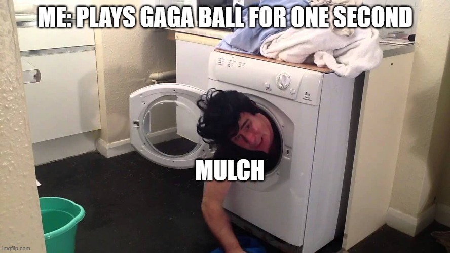 Writing this as i get mulch out of my shoe | ME: PLAYS GAGA BALL FOR ONE SECOND; MULCH | image tagged in man stuck in dryer/washing machine | made w/ Imgflip meme maker