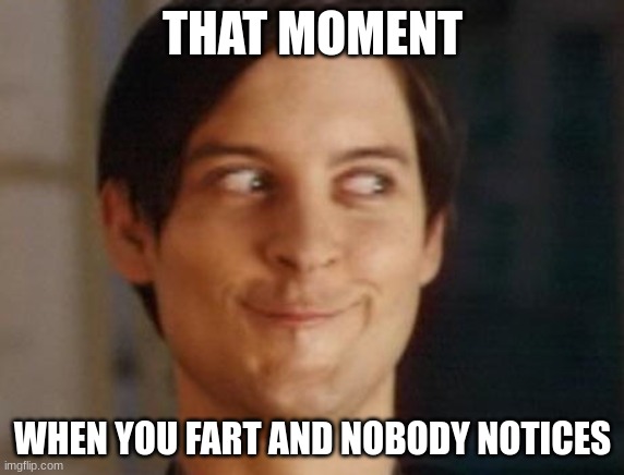 things | THAT MOMENT; WHEN YOU FART AND NOBODY NOTICES | image tagged in memes,spiderman peter parker,funny | made w/ Imgflip meme maker