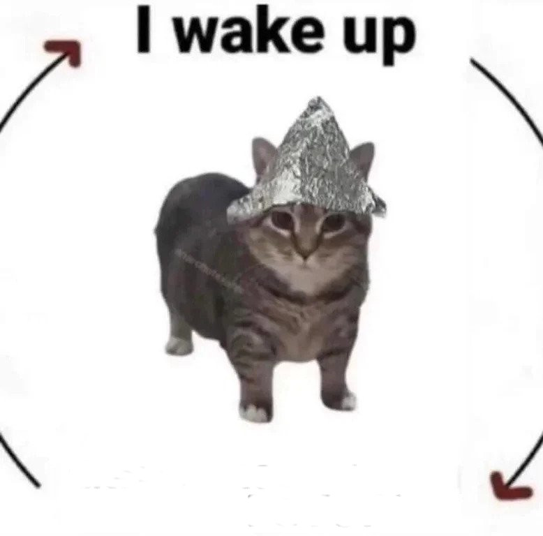 tinfoil cat cycle Blank Meme Template