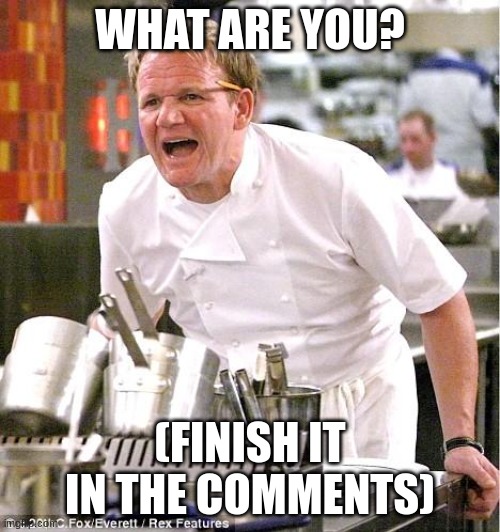 Chef Gordon Ramsay Meme | WHAT ARE YOU? (FINISH IT IN THE COMMENTS) | image tagged in memes,chef gordon ramsay | made w/ Imgflip meme maker