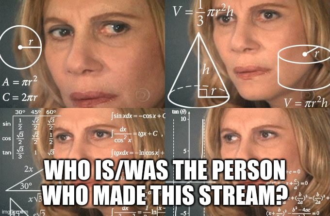 Calculating meme | WHO IS/WAS THE PERSON WHO MADE THIS STREAM? | image tagged in calculating meme | made w/ Imgflip meme maker