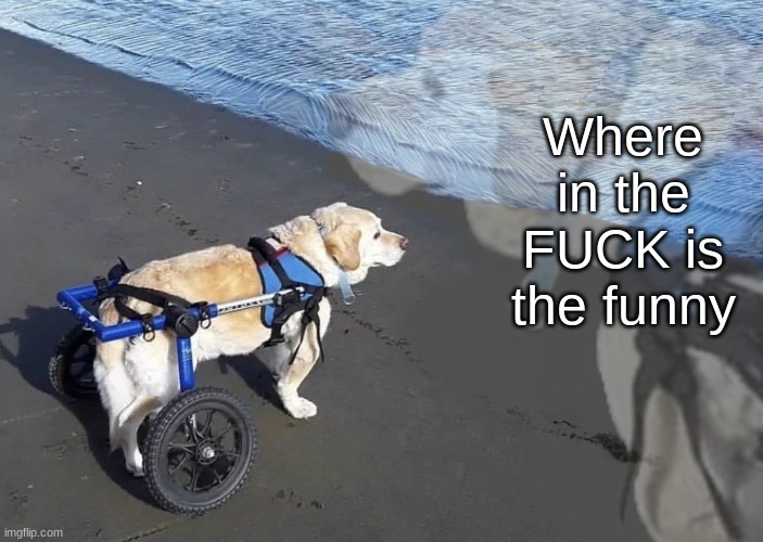 What the fuck is oatmeal | Where in the FUCK is the funny | image tagged in what the fuck is oatmeal | made w/ Imgflip meme maker