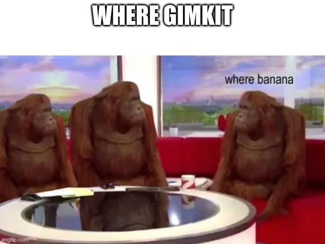 Monkey where | WHERE GIMKIT | image tagged in monkey where | made w/ Imgflip meme maker