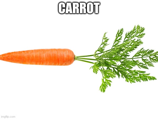 Carrot | CARROT | image tagged in fun | made w/ Imgflip meme maker