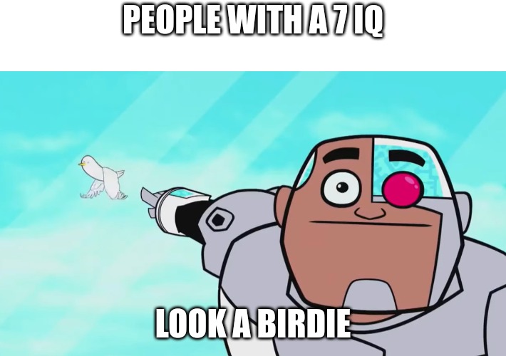 hey look a birdie because i was born a jackass | PEOPLE WITH A 7 IQ; LOOK A BIRDIE | image tagged in guys look a birdie | made w/ Imgflip meme maker