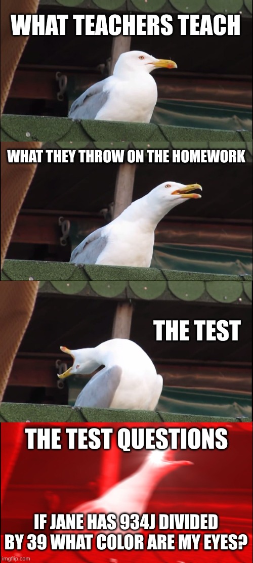 What Teachers Teach | WHAT TEACHERS TEACH; WHAT THEY THROW ON THE HOMEWORK; THE TEST; THE TEST QUESTIONS; IF JANE HAS 934J DIVIDED BY 39 WHAT COLOR ARE MY EYES? | image tagged in memes,inhaling seagull | made w/ Imgflip meme maker